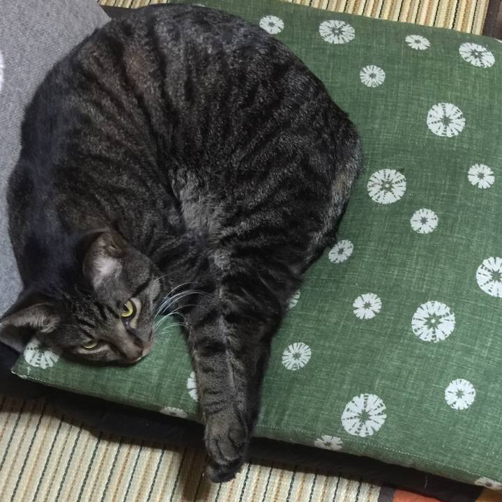 430c5104 ebd2 4ed2 acf7 a92f9427a76c