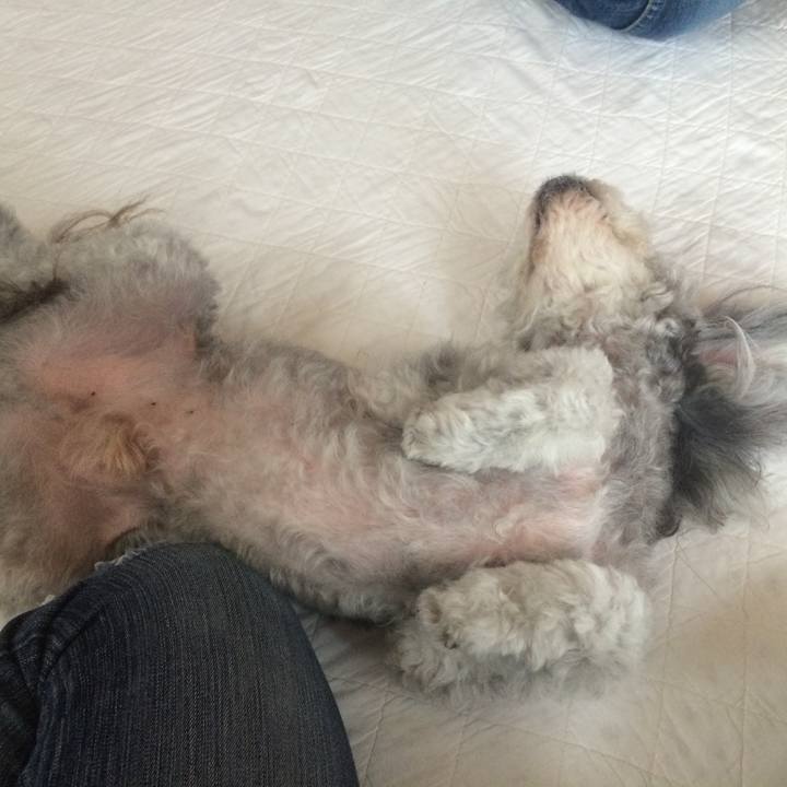 430c6d88 b341 4d20 95f5 62eacefd9006