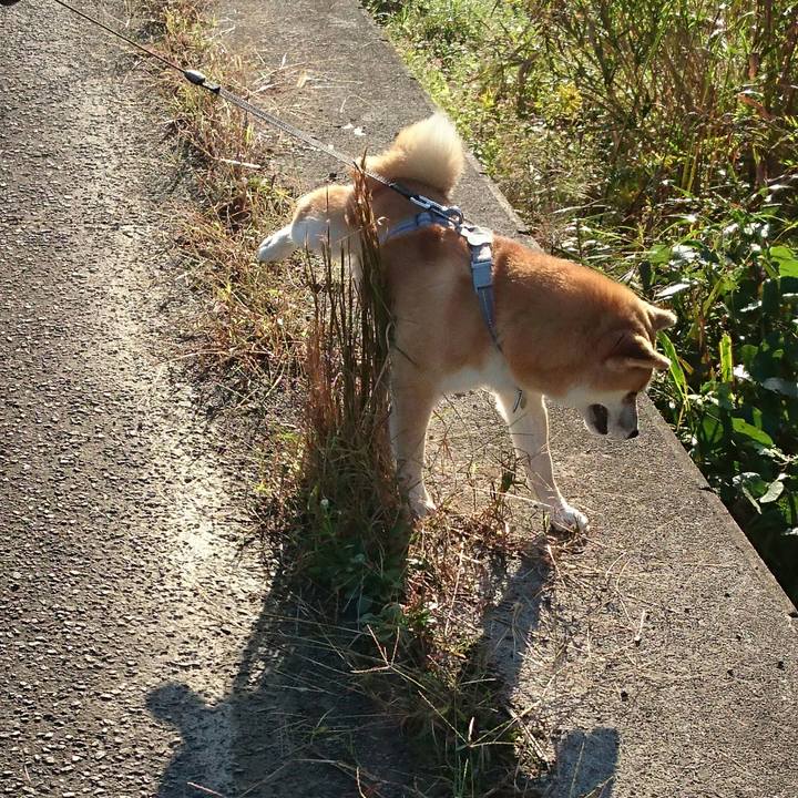 430ca3f2 d647 4f07 9c58 6e5218984070