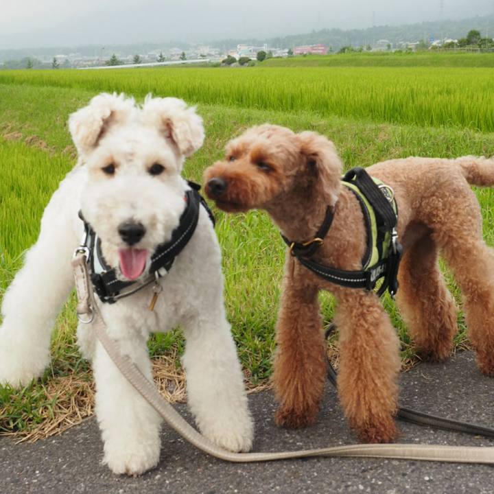 430cd09e acd1 4a31 ba1e a8483c2508c1