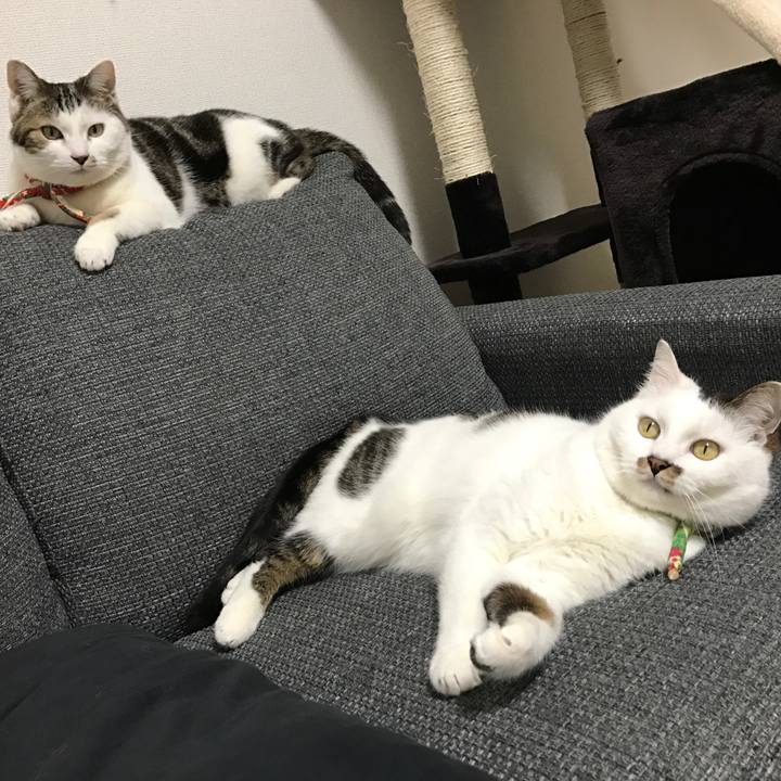 430cdb14 a5ca 475e b66c 9d9facb946fc