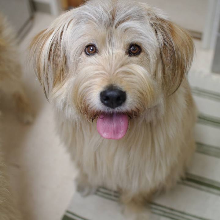 430d6808 29c3 417a b877 3b941ab960fd