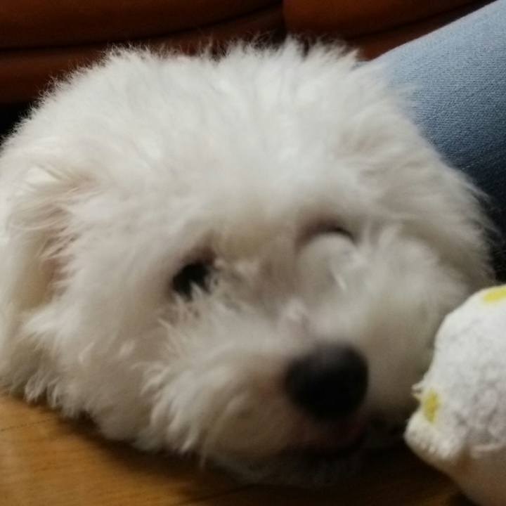 430d9e49 9d46 4f97 a5a7 83bb5aa1cd11