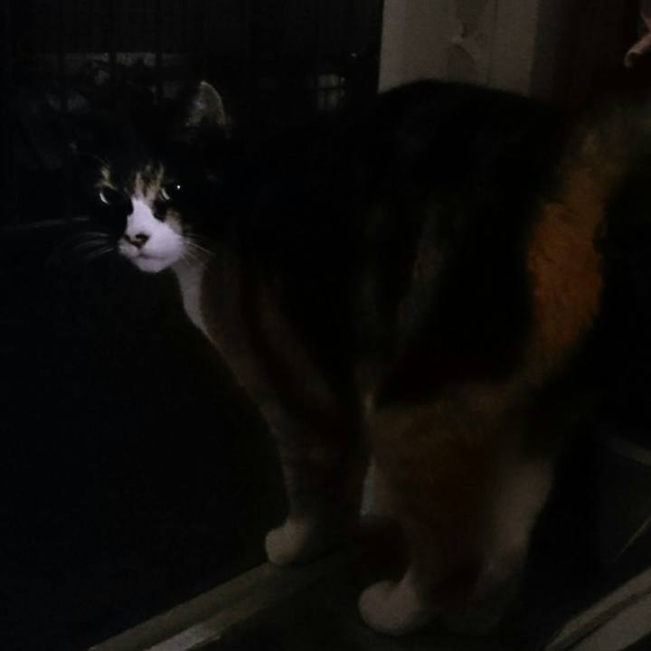 430ecad0 f76f 46ad 9578 681e70dc047c