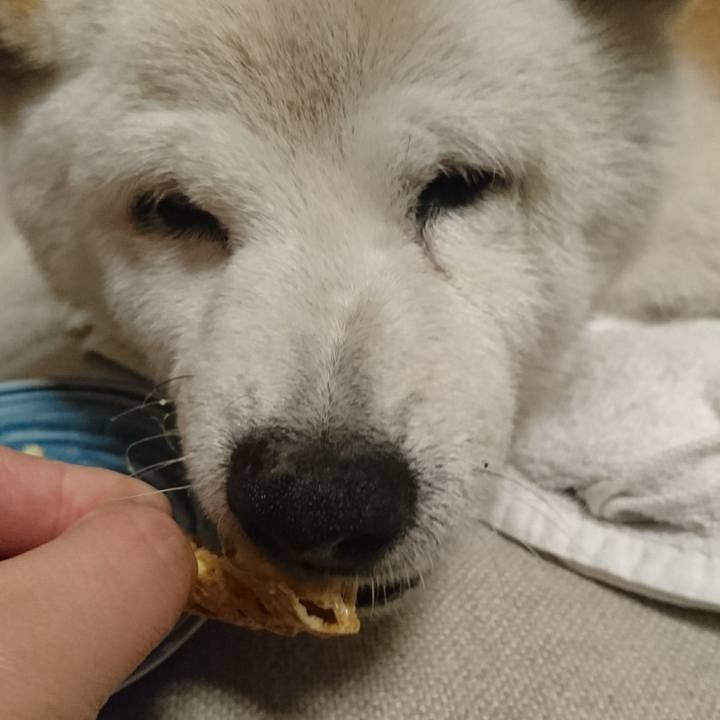 430ef8e9 b5a0 4e47 a182 6033ba8f322c