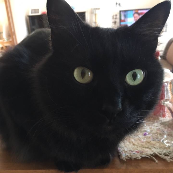 430f0b84 8ece 4b94 b723 c39eae3b36c2