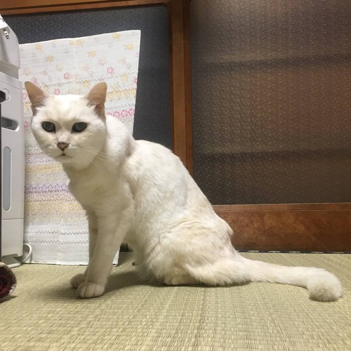 430f897a 46ab 458b 9607 0cbe84fb681d