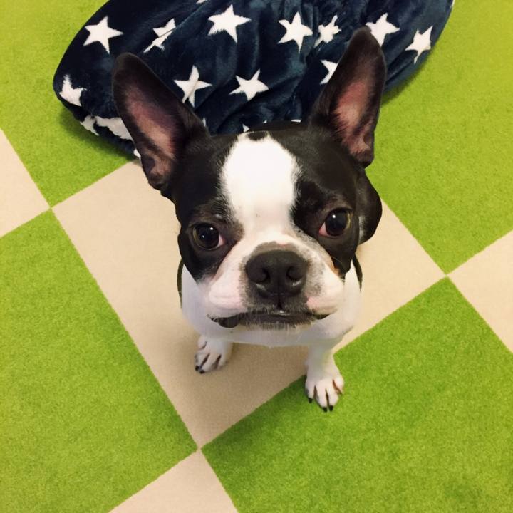 4310d185 6e97 4b92 a50d 34a7a233154f