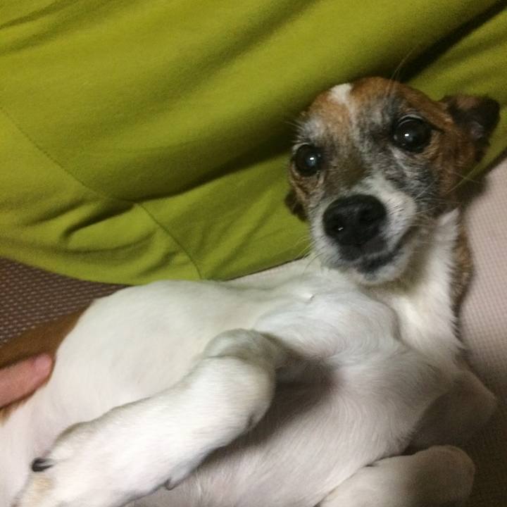 4311003d 20ba 4930 8dda f91fd2fd8fdc