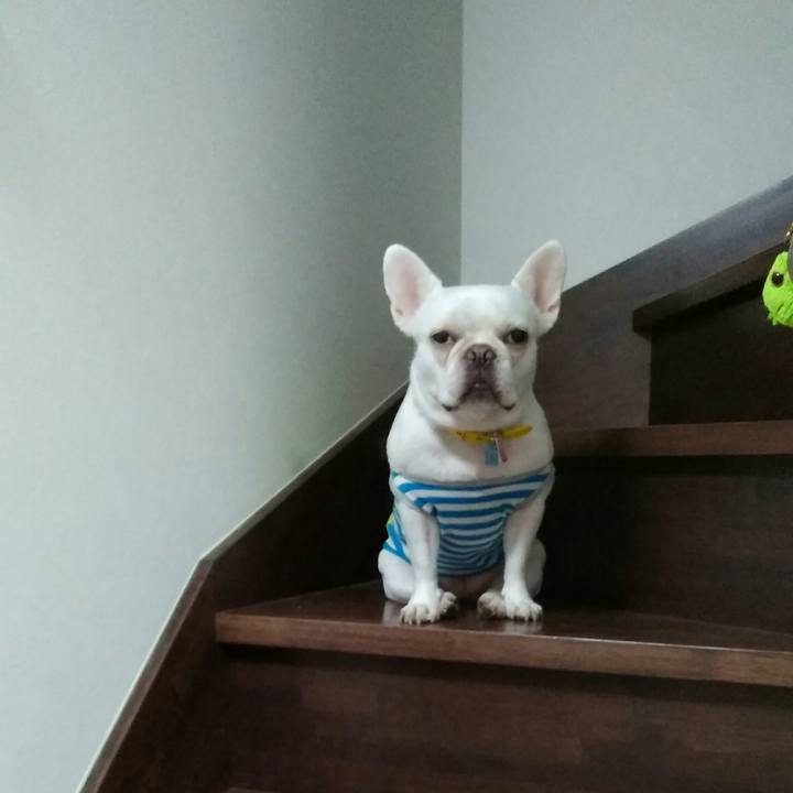 431173b0 7859 4595 866a 5c2165923280