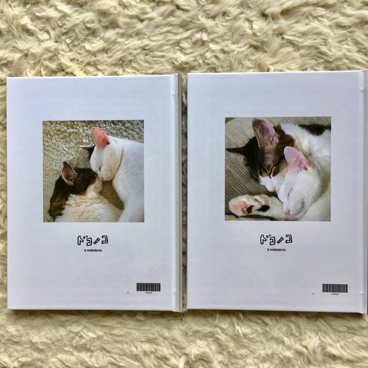 4311caec 5270 41e2 bb19 dfe72d2f91e8