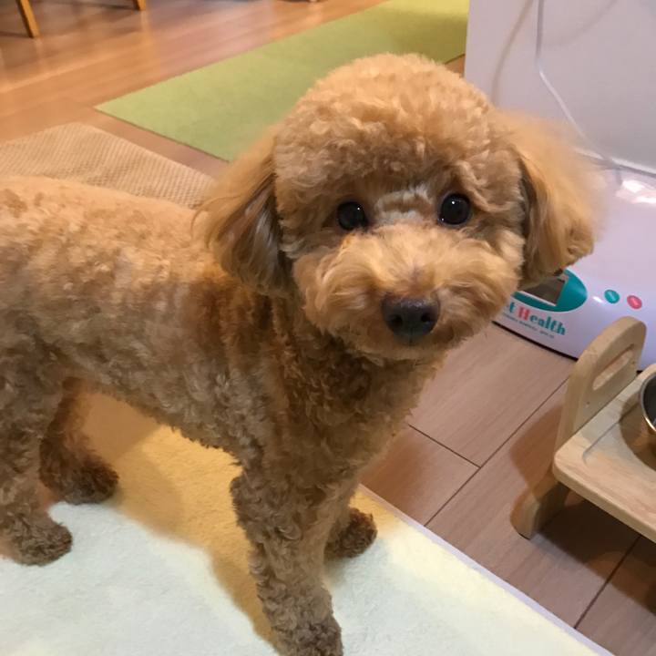 4311e632 cdaf 4606 a7de 72e28a44a003