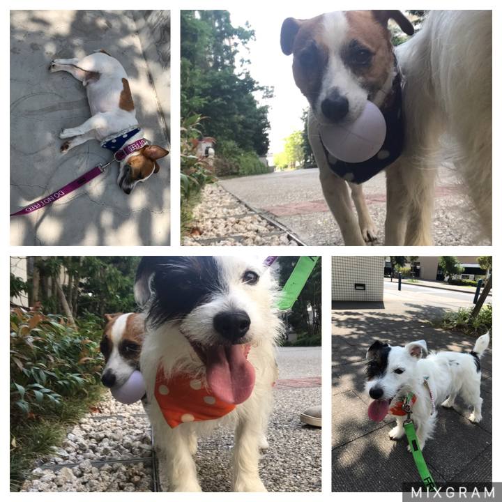 431210e0 c344 450d b630 f5b7a592e046