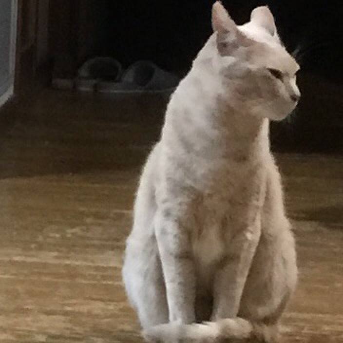 4312fbb1 b00a 42c2 8c42 247e7485fafe