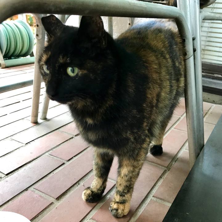 4313abbd 5c1f 420c 918e bc2896c950a8