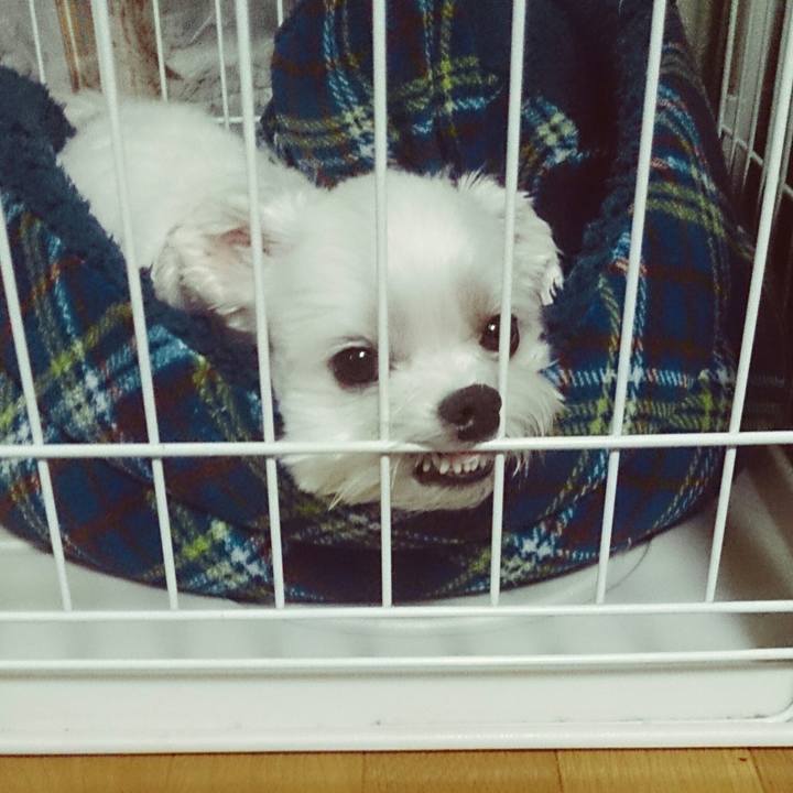 4313e97c bcc3 412e 9901 1f62232f359c