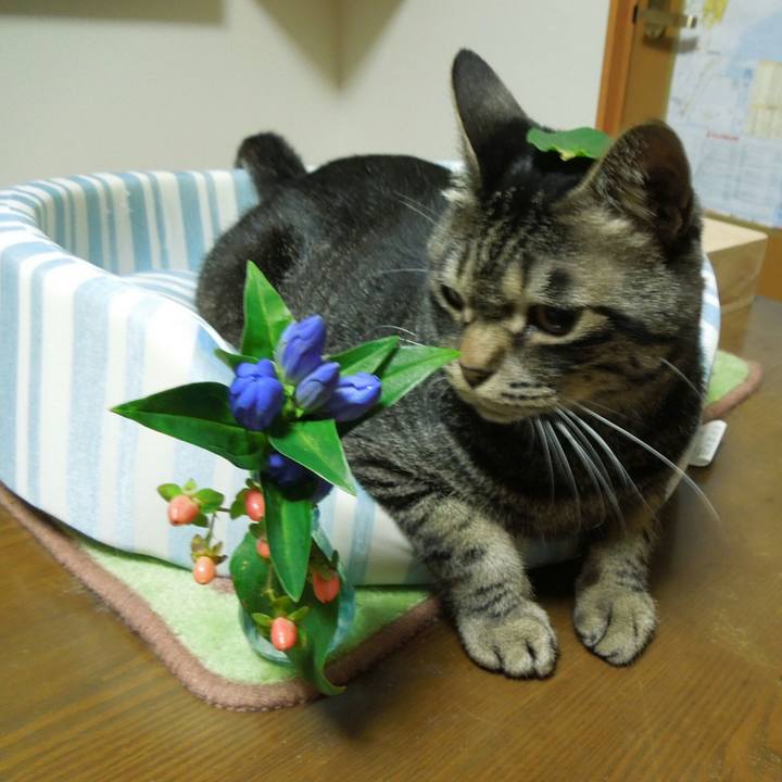 43150130 1b48 4824 aba0 c2546ffb4cf0