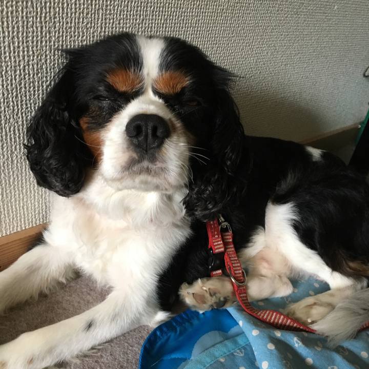 43155092 dce5 45a4 b04c ed1a3d703dea