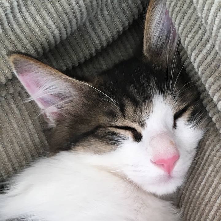 4315926e ab67 4f7a b7f9 50ae46a19f6b