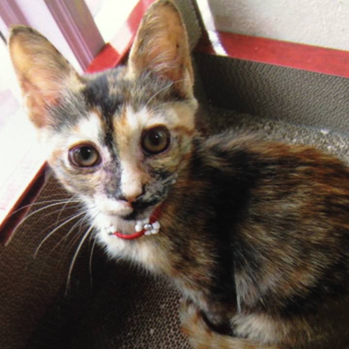 43160d94 c0aa 453e bfdf 0c47a86217eb