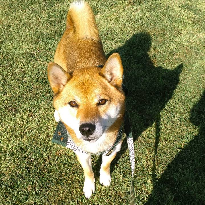 43165aa7 2467 431e 9160 5220fa89547f