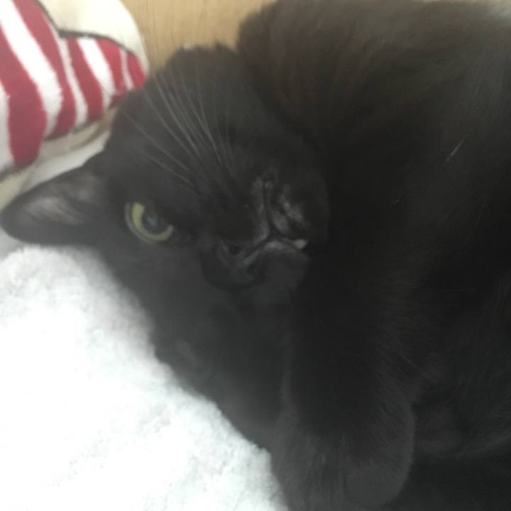 43166488 aba4 4151 b84e ba01e7227e23