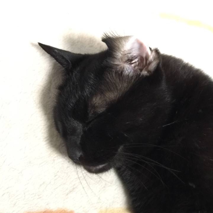 4316d17f 51c4 46bd 94cd 667a1887d20e