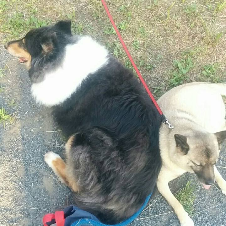 4317055a faba 478b 9caf 06602ed11a41