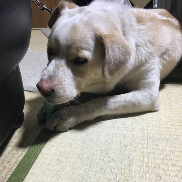 43178bf6 6dae 43b2 a70d 7b3977826114