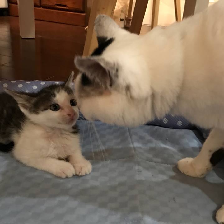 4317c901 11bc 4c47 85d4 2e1b8275133b