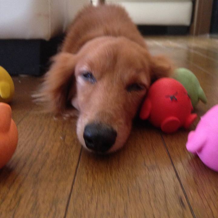 43183daf 36d1 44c6 b768 4674e69fa153