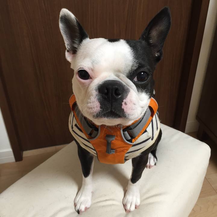 431897dc 0dc0 43ad be79 9699e50eb4e9