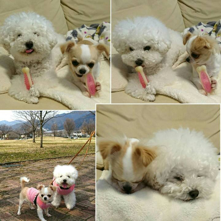 4318b3e9 e1b2 4716 9c38 68796eccea07