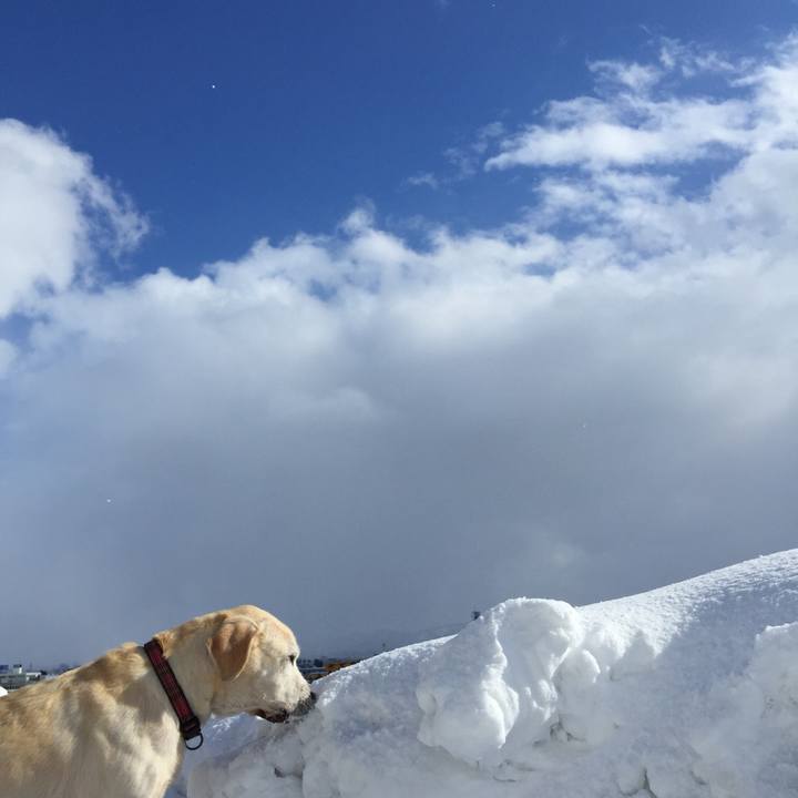 4318f363 f620 4831 ab00 333ec19647c3