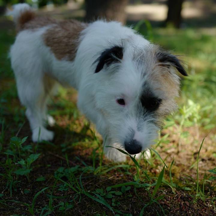 4318fe61 b594 41c1 9050 22f37fc7c74f