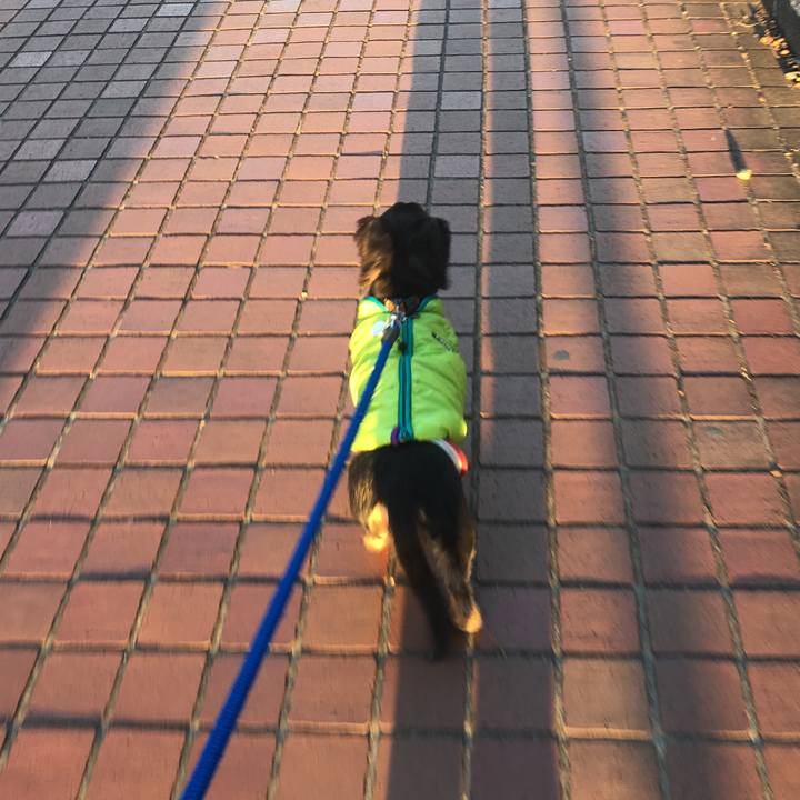 4319c8b9 8d66 4ea2 b6d4 50daf80851c6