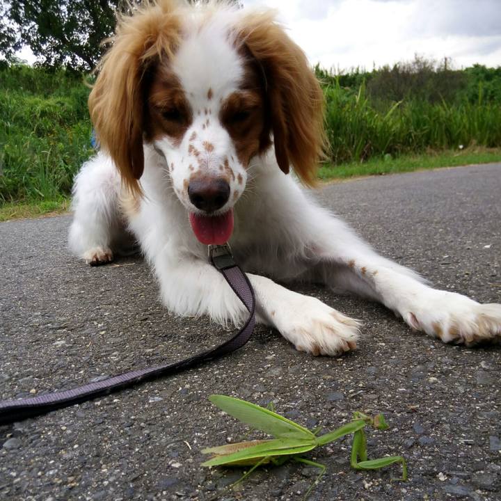 431a2cdd a984 4cd4 b766 670bbae9e34e