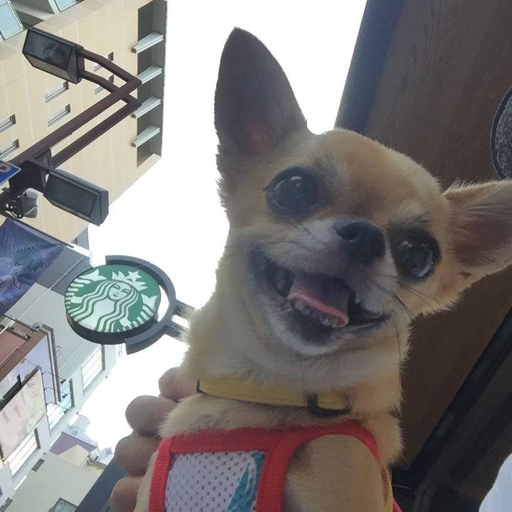 431a421c 5347 4772 b3b5 71e048747caf