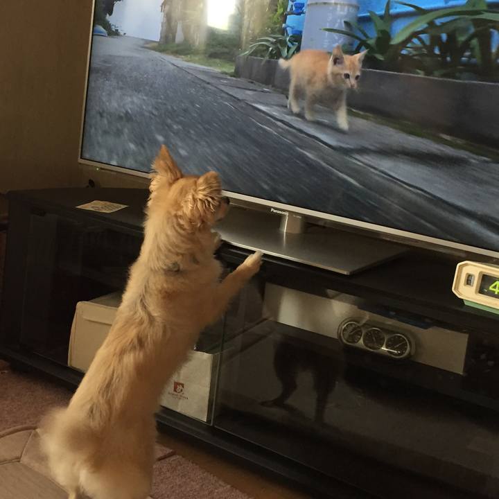 431a988b 1713 481b 9212 f568247b9e49