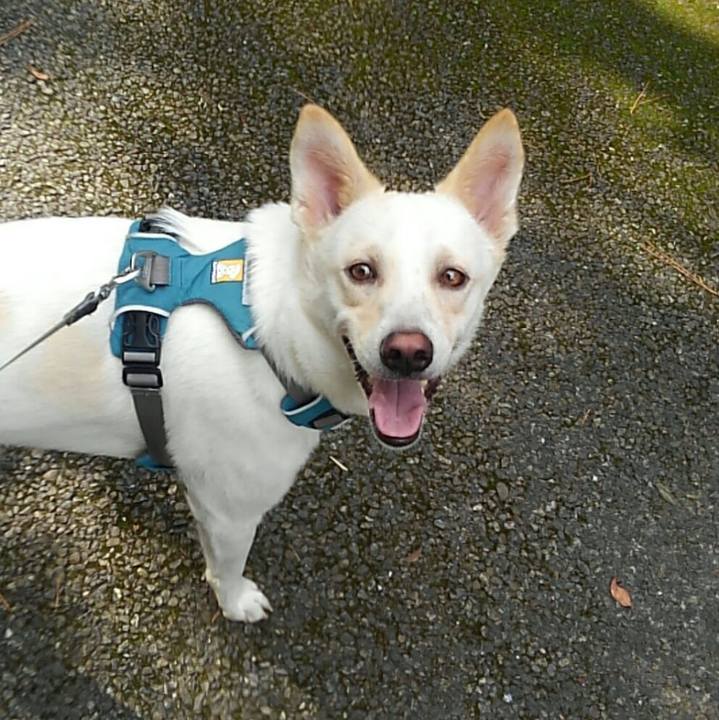 431b07b2 56ca 410d b480 099d47e9d885