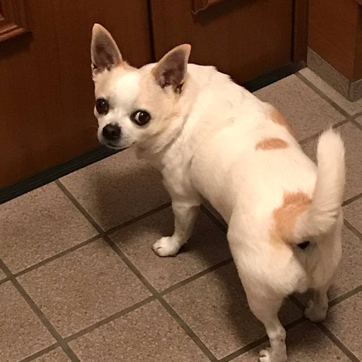 431b1444 7af1 45aa b3dc 9a1e4342b73d