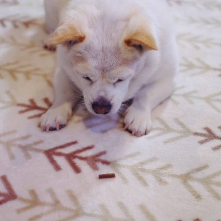 431d49b9 4aa1 4cba 850e 9c0a4ea5e996