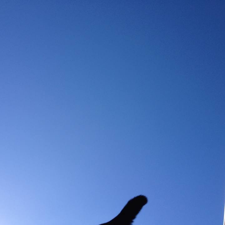 431d4c89 66c2 4618 9737 b5498e6b2c8a