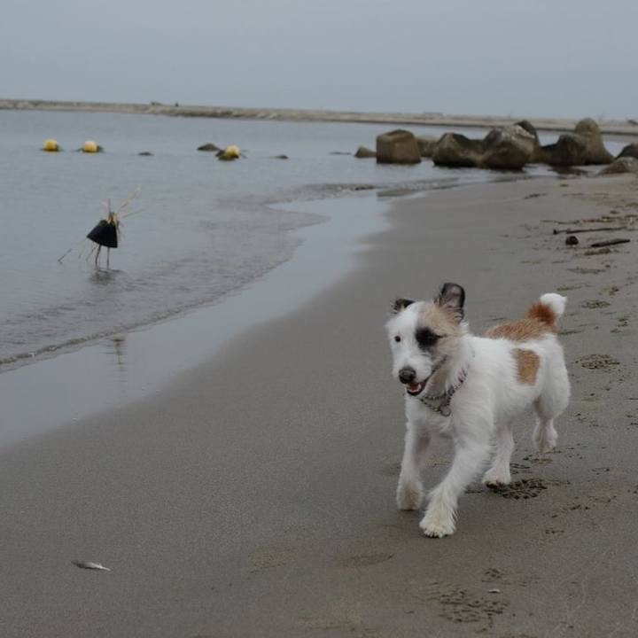 431d5e7a b1c6 4e29 9657 cc2f01e89db7