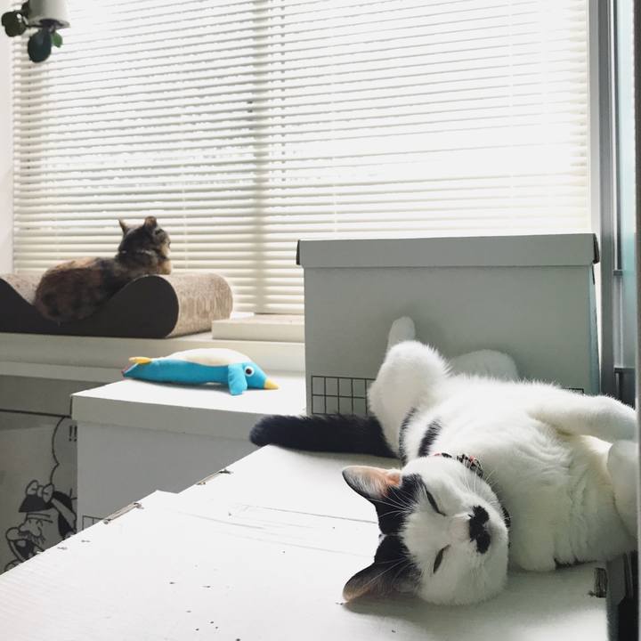 431db850 e5d2 4f17 9ee5 fe80d4826c19