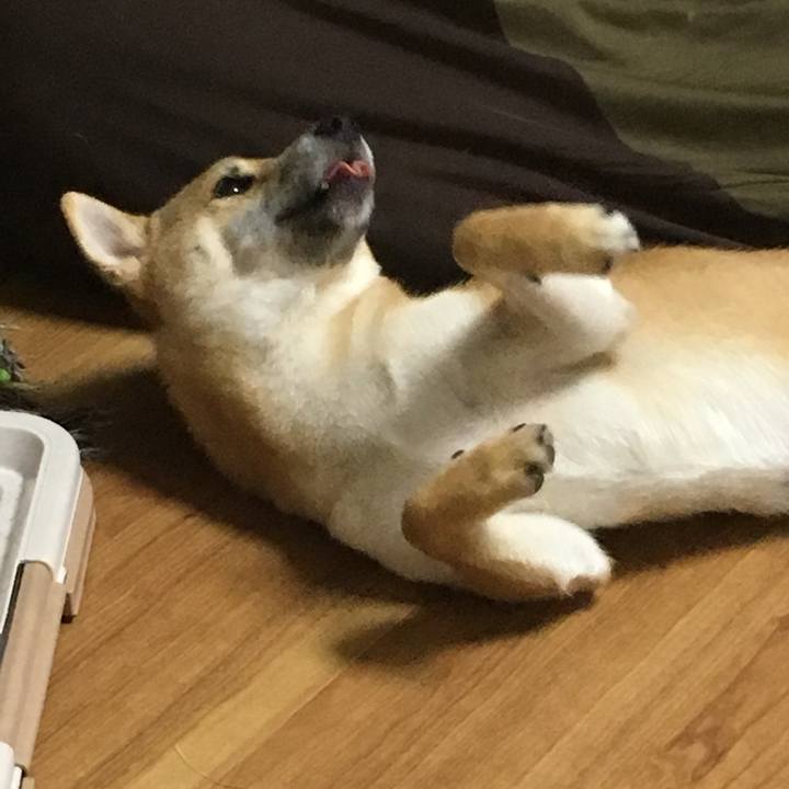 431dcd64 09e1 4616 8777 9e2f1568bbdd