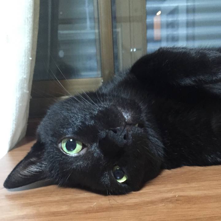 431e5757 e9ed 4b7e 8e4c bf57baffb3db