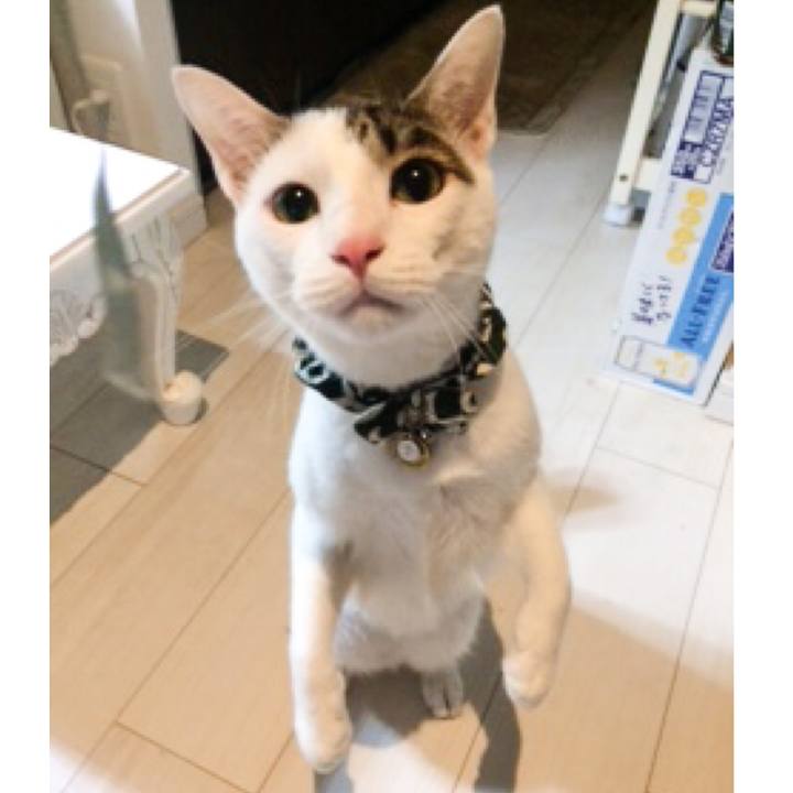 431e5ea2 3949 489e 8be1 79e99ab36c5d