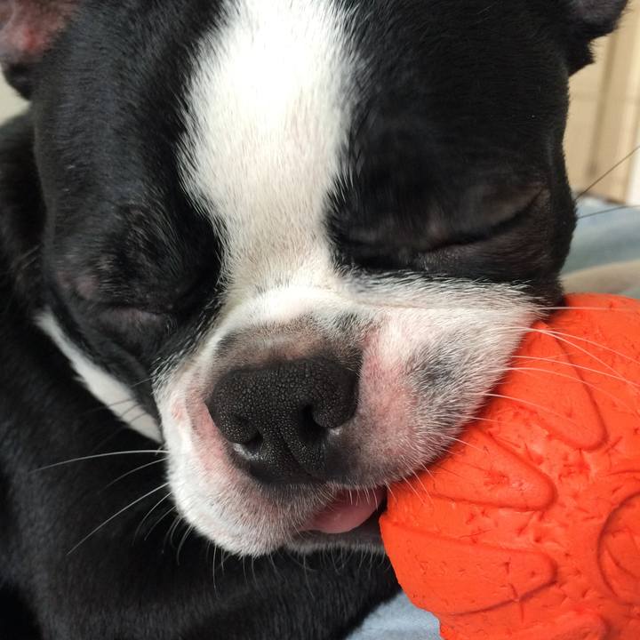 431f49b9 e40b 40cd a602 1755cab5494b