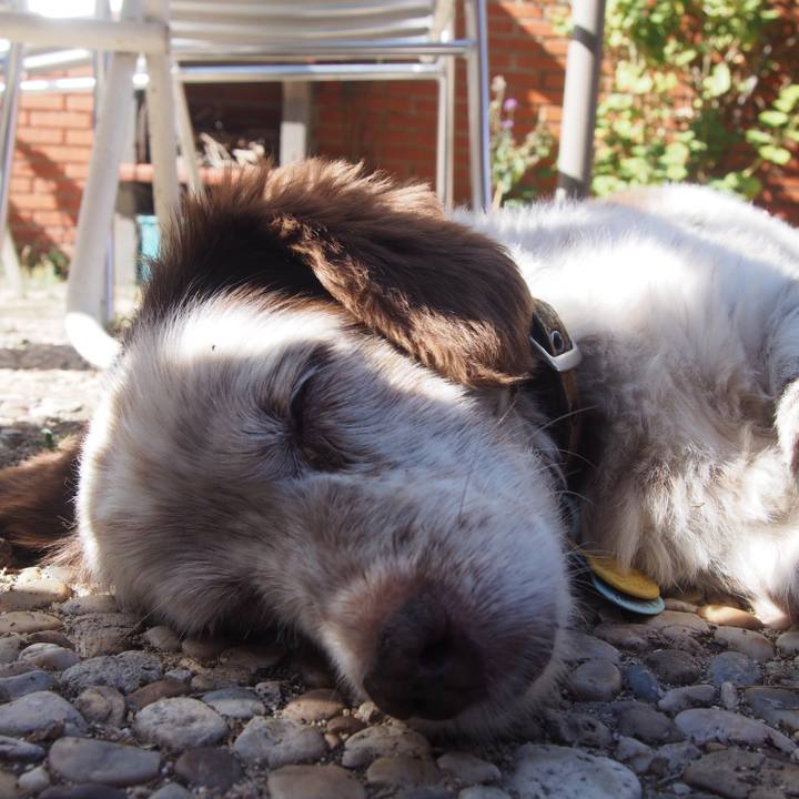 431f6d42 9f59 432d bba5 c993cb8b2267